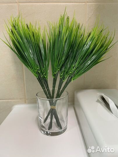 Декоративная трава осока