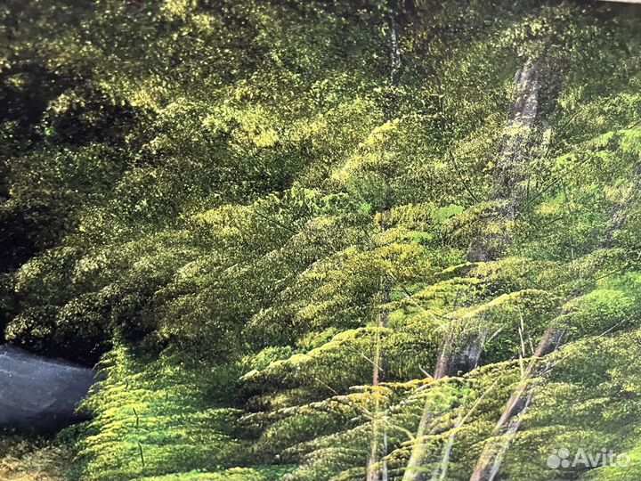 Картина на бархате