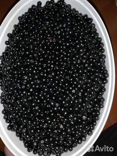 Черемуха ягода