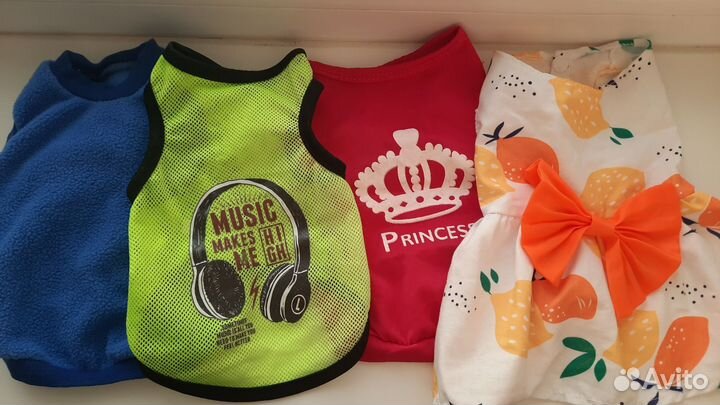 Вещи для маленькой собачки размер.S