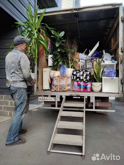 Опытные грузчики