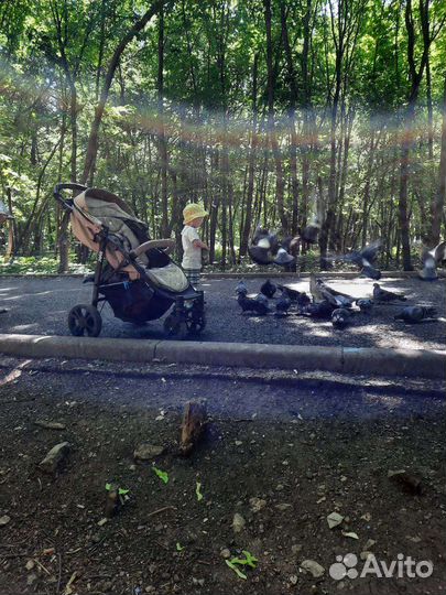 Коляска joie litetrax 4