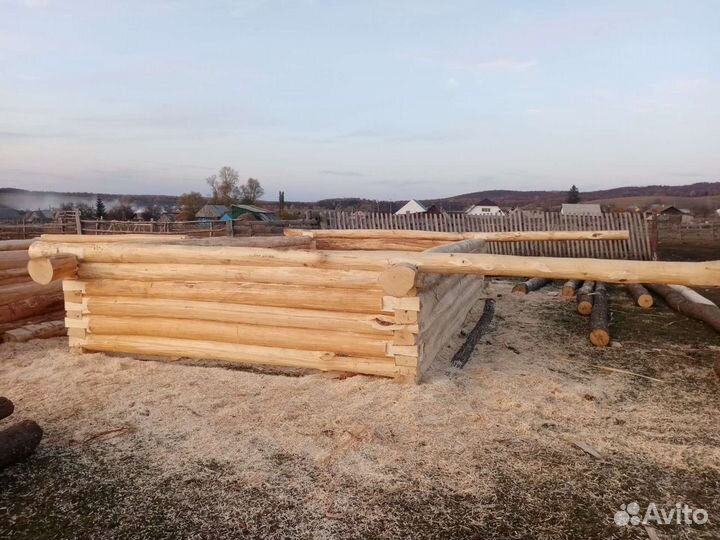 Срубы из липы