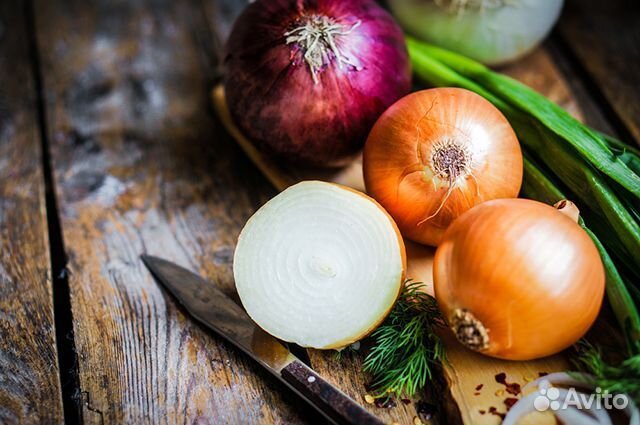 Штудгарт на перо