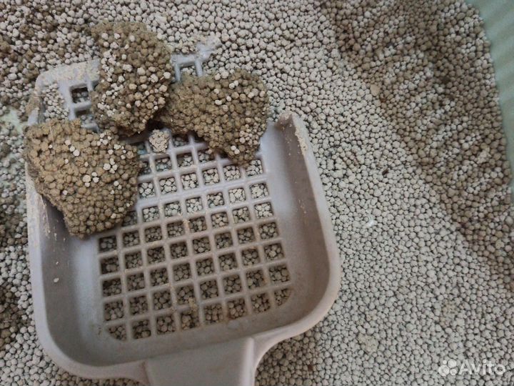 Кошачий наполнитель комкующийся