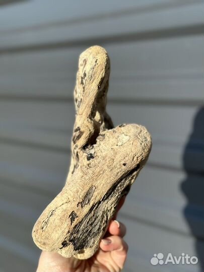 Коряги дрифтвуд набор