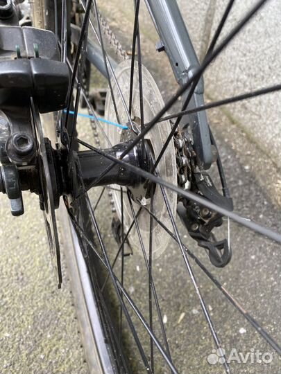 Mangoose fireball 26