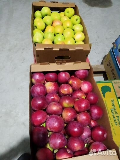 Фермерские продукты