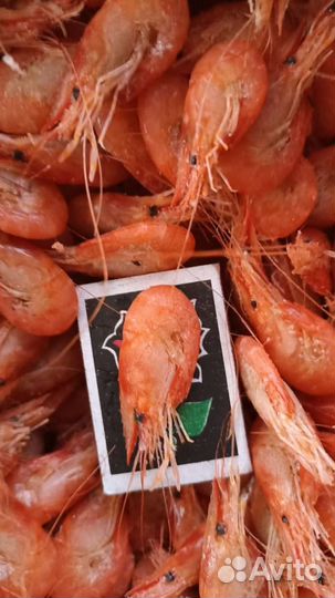 Креветка азовская