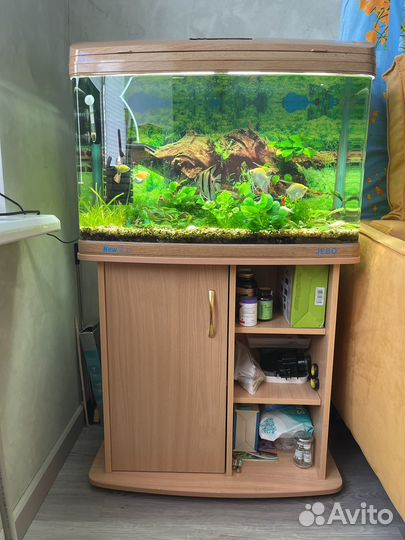 Аквариум с тумбой Jebo R375(144 литра)
