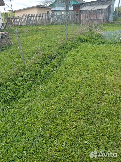 Покос травы любой сложности