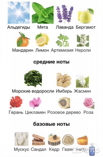 Ralph lauren Polo sport 125 ml