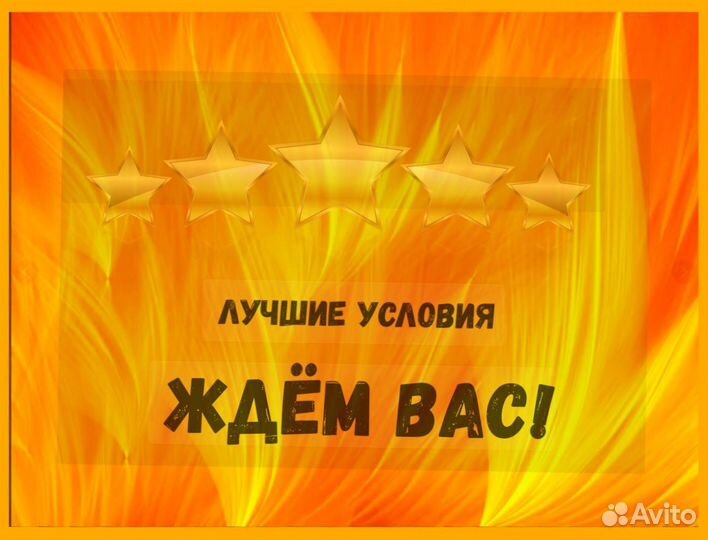 Сборщик заказов Выплаты еженедельно Без опыта М/Ж