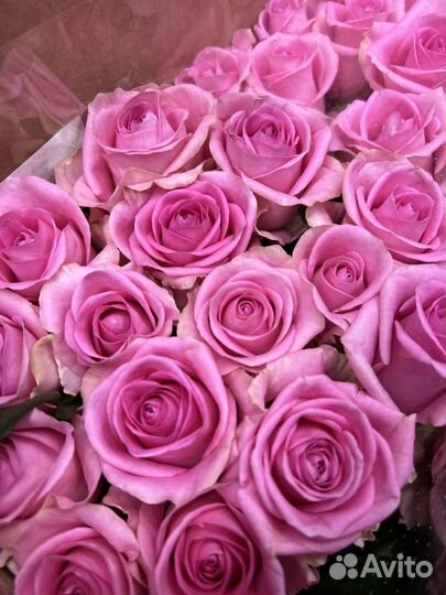 Букет свежих голландских роз