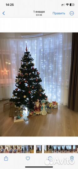 Елка новогодняя