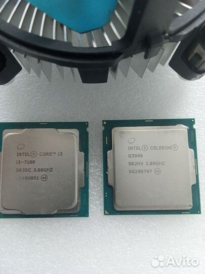 Процессоры i3 7100, g3900 и кулер