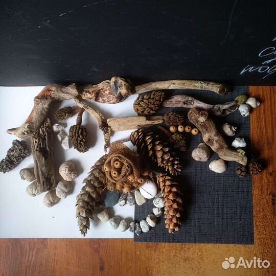 Дрифтвуд набор для творчества. Лот 43