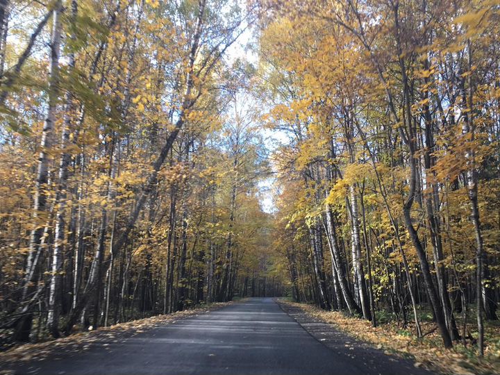 Участок 7 сот. (ИЖС)