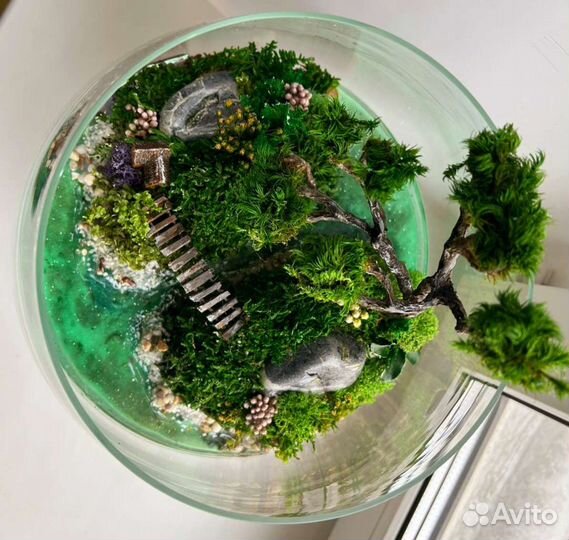 Флорариум Моссариум