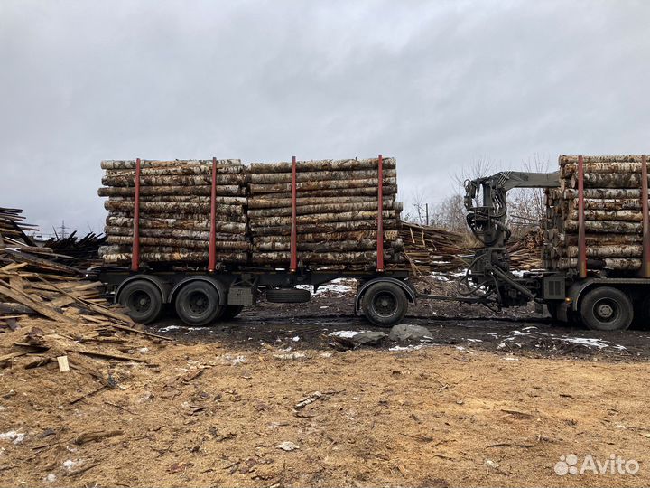 Уголь березовый