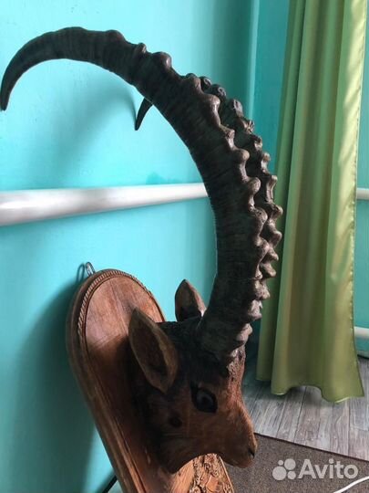 Рога козерога