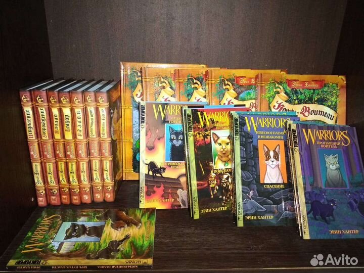 Цикл книг Коты Воители