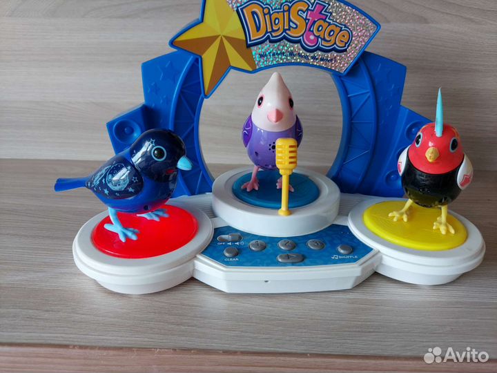 Интерактивные птички DigiStage