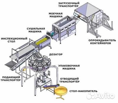 Технологическая схема квашеной капусты