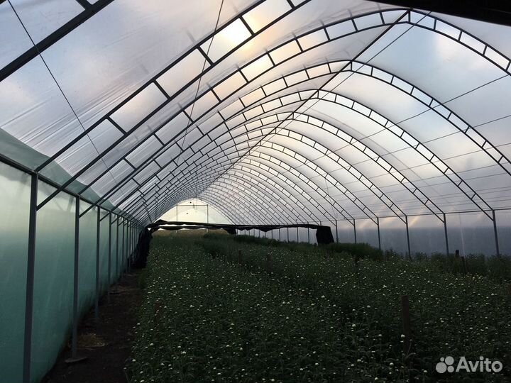 Сварка аргоном любых металлов и сплавов в Курске