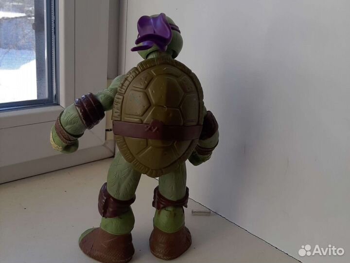 Черепашка-ниндзя