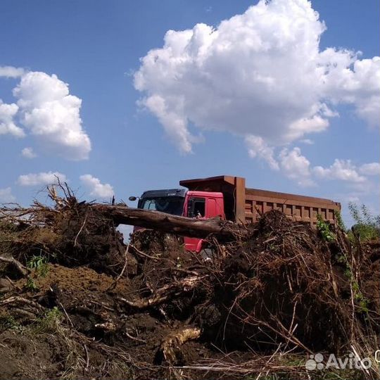 Вывоз корней, грунта