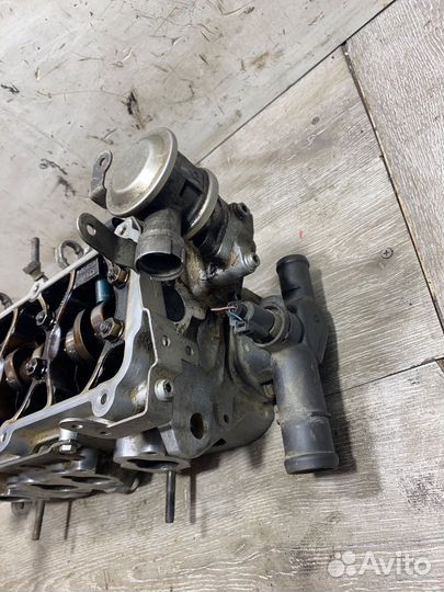 Головка блока цилиндров Skoda Octavia