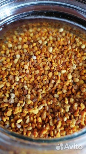 Обножка (пыльца) цветочная