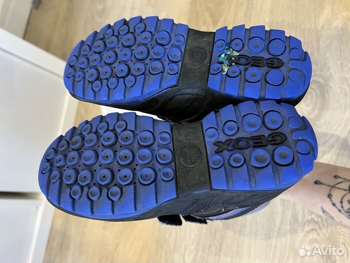 Осенние ботинки geox