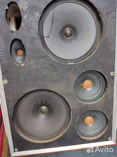 Динамики 2гд19м