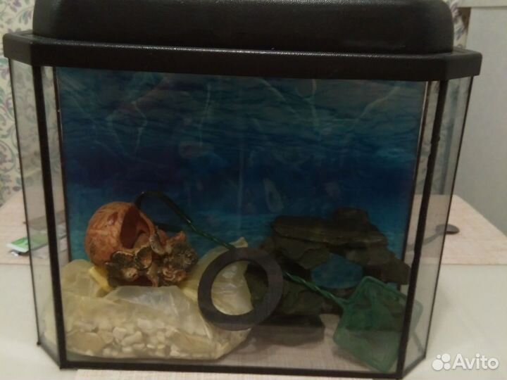Аквариум
