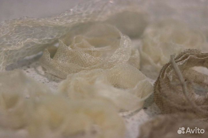 Змеиные выползки