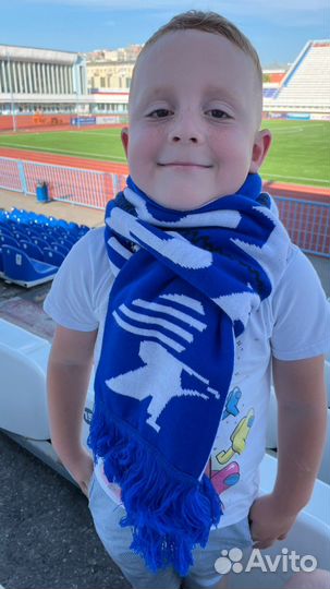 Шарф Сокол Саратов Консерватория