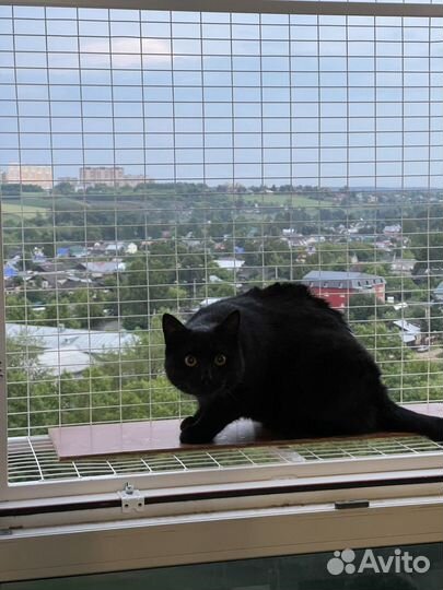 Вольер на окно для кошек