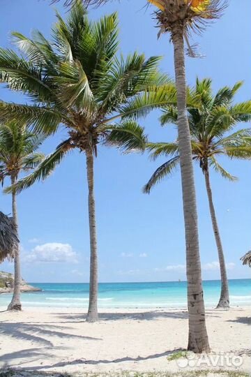 Горящие туры на кубу