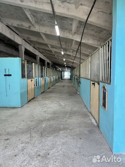 Постой для лошадей