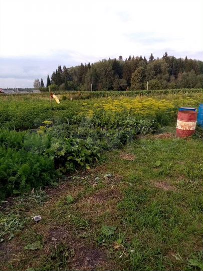 Участок 17,8 сот. (ИЖС)