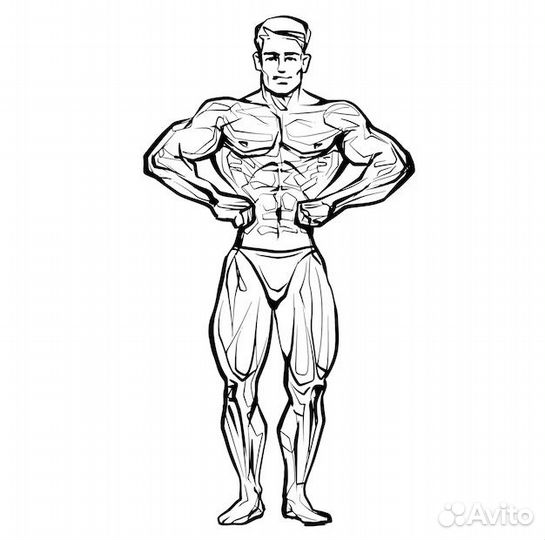 Программа тренировок