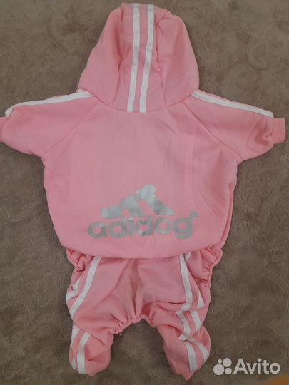 Костюм для собаки