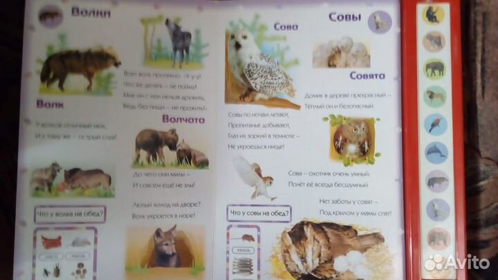 Пазл/детские книжки музыкальные и простые