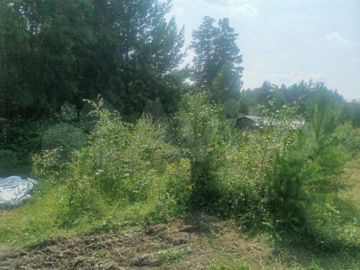 Участок 6,1 сот. (СНТ, ДНП)