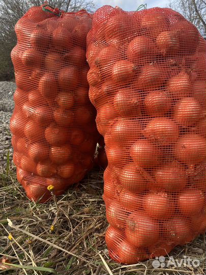 Лук на перо