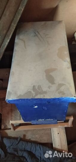 Ловушки для пчел