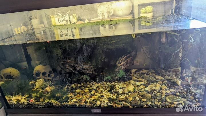 Аквариум