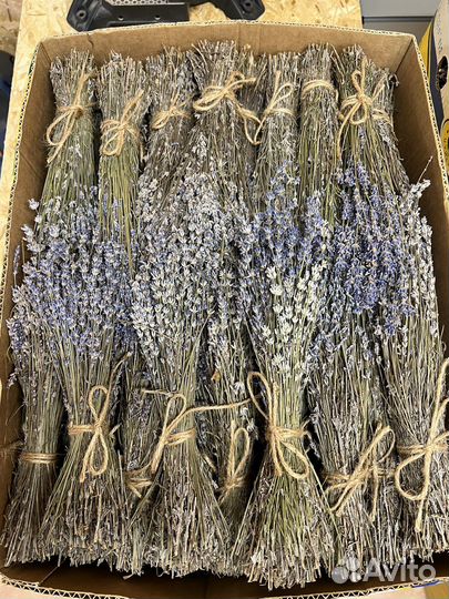 Крымская Лаванда